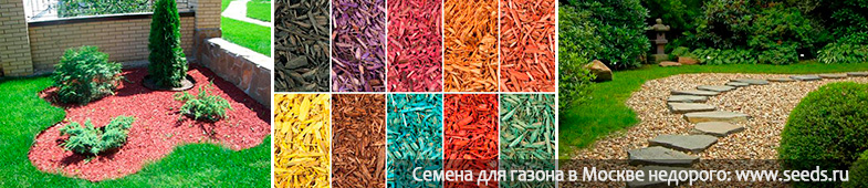 декоративная щепа декоативная щепа на газоне