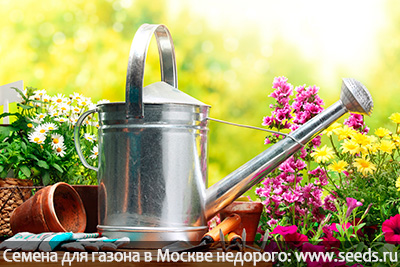 система полива газона полив газона