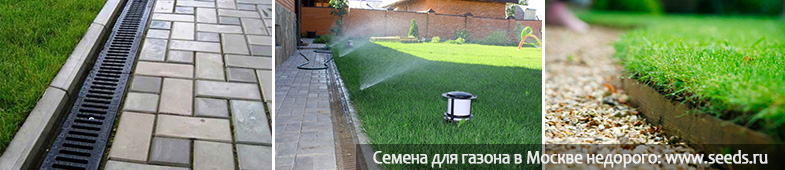 дренирование участка дренажная система на участке