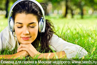 оформление границ газона
