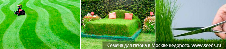 как стричь газонную траву газон как стричь