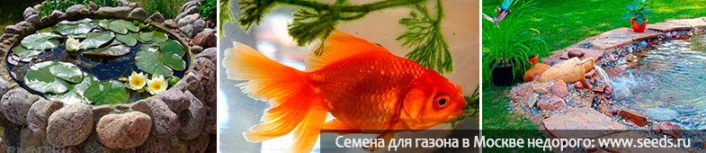 пруд на даче своими руками минипруд своими руками