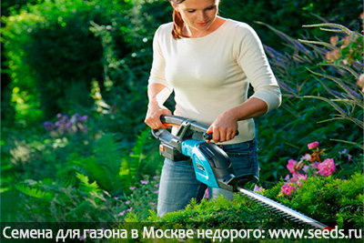 секатор как выбрать какой выбрать секатор или ножницы