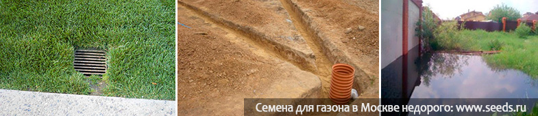 art 348 kak osushit bolotistyj uchastok