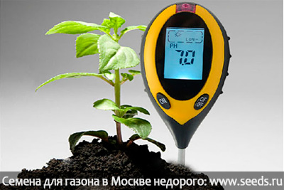 art 596 rasteniya dlya kisloj pochvy