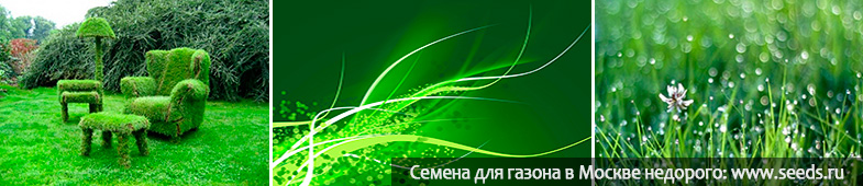 универсальная трава универсальный газон