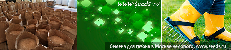 семена для газона когда садить, когда и как садить газонную траву, посадить газон