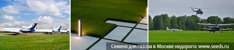 art 411 gazon dlya aehrodroma